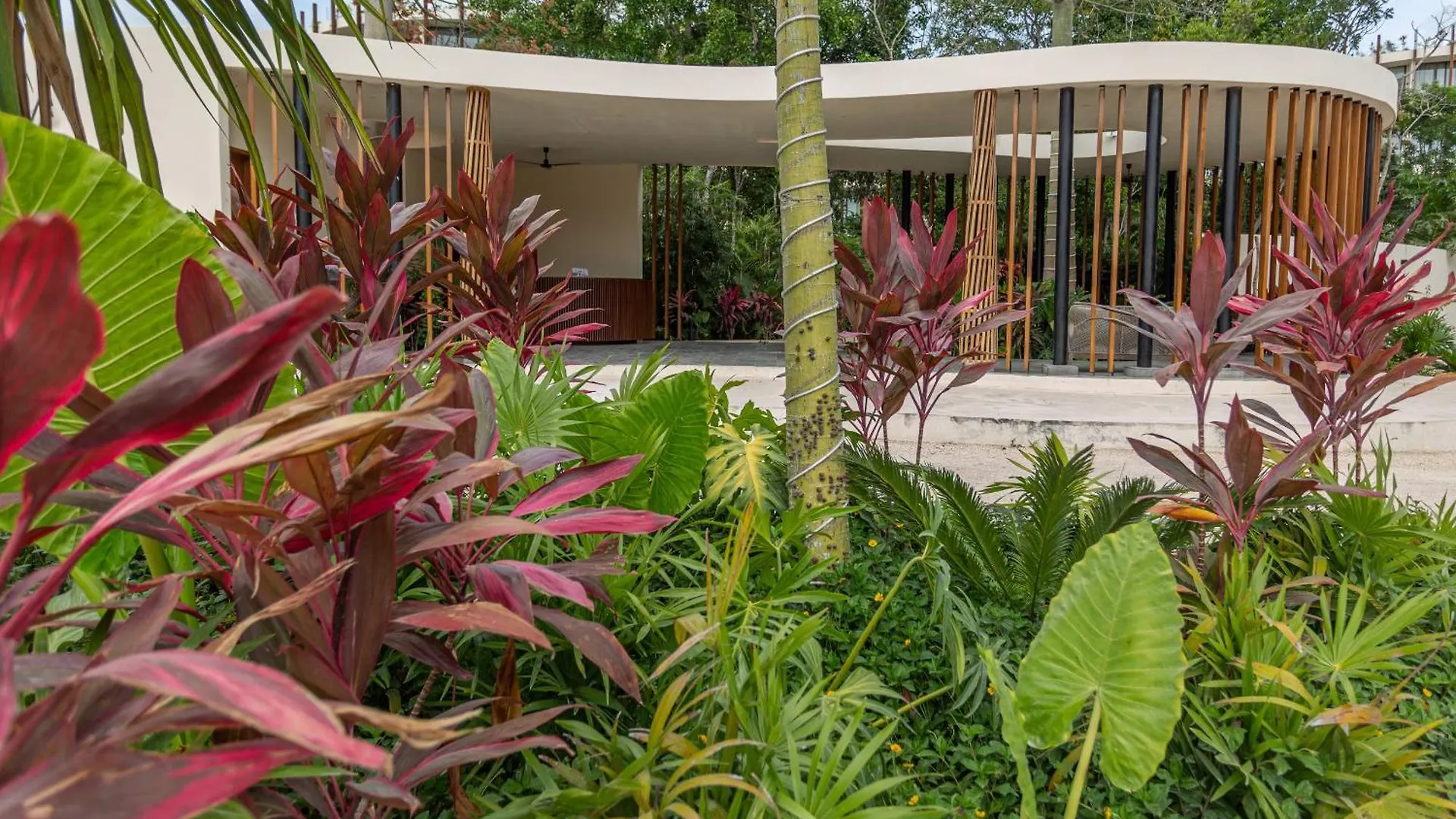 Apartmán Mistiq Gardens Tulum Mexiko